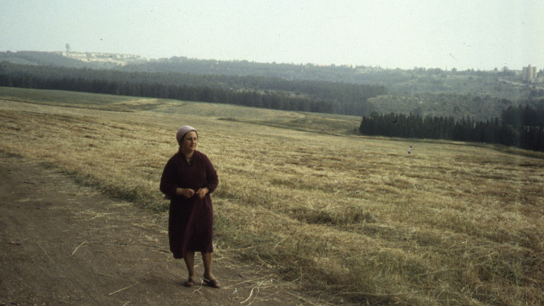 Mémoire fertile: Image 2