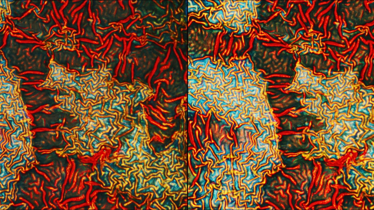 La dureté du mental: Image 2