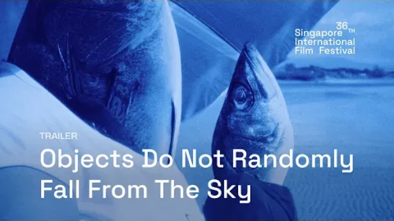 Trailer Objects Do Not Randomly Fall From the Sky