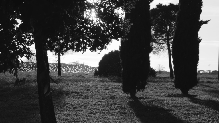 Six portraits néoréalistes: Image 7