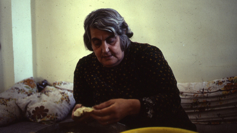 Mémoire fertile: Image 1