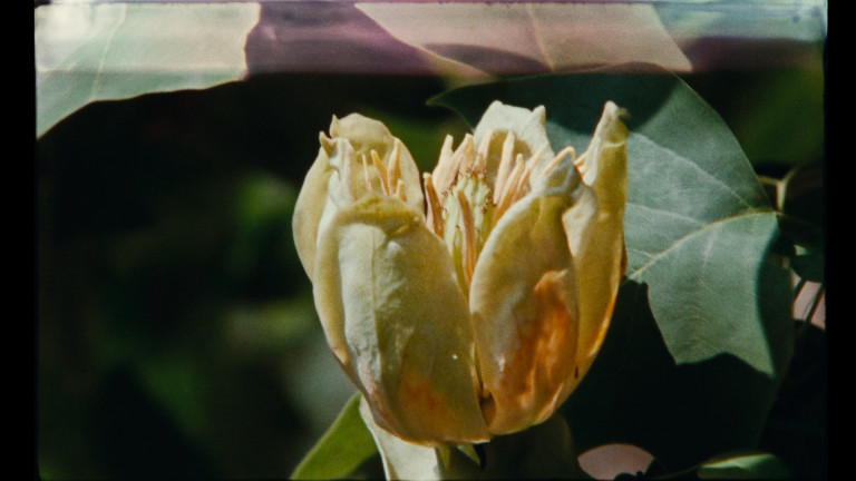 7 promenades avec Mark Brown: Image 2