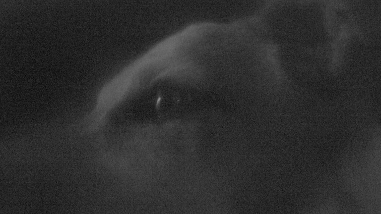 Now He Is in the Truth: Image 1