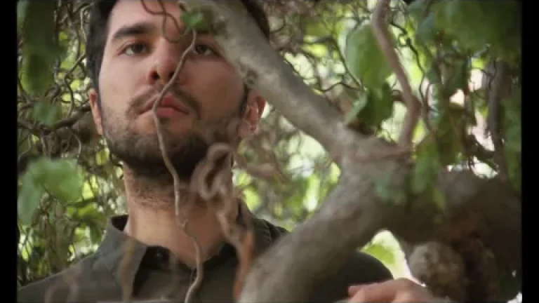 Trailer A Thousand Waves Away