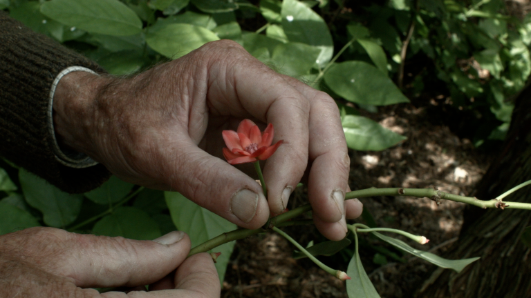7 promenades avec Mark Brown: Image 1