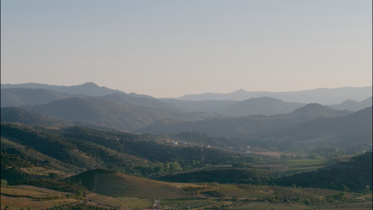 I'm Feeling Something: Image 1