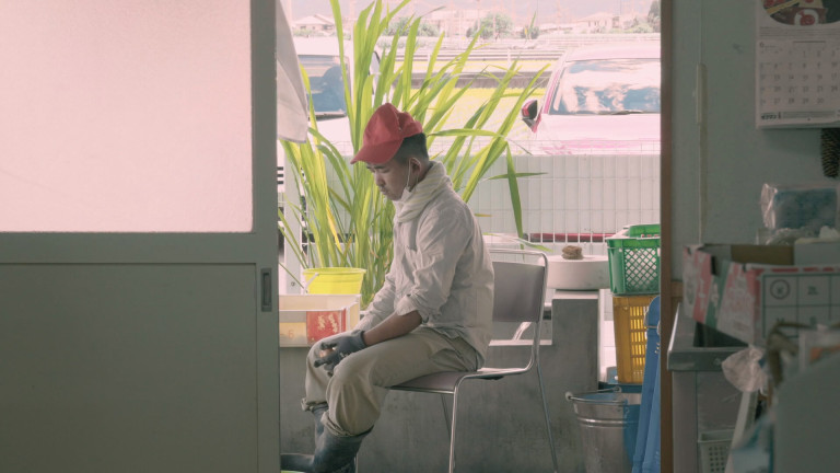 Fujiyama Cotton: Image 4